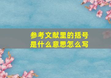 参考文献里的括号是什么意思怎么写