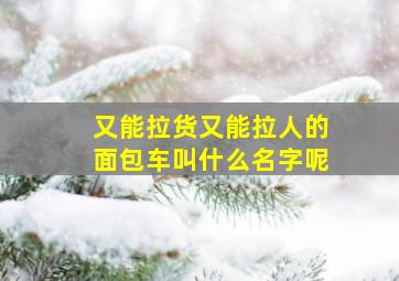 又能拉货又能拉人的面包车叫什么名字呢