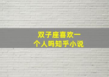 双子座喜欢一个人吗知乎小说