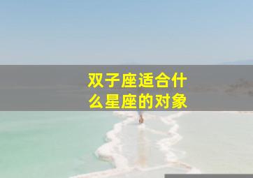 双子座适合什么星座的对象