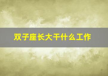 双子座长大干什么工作