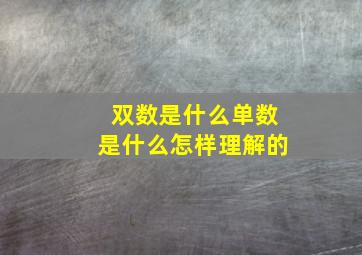 双数是什么单数是什么怎样理解的