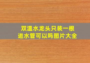 双温水龙头只装一根进水管可以吗图片大全