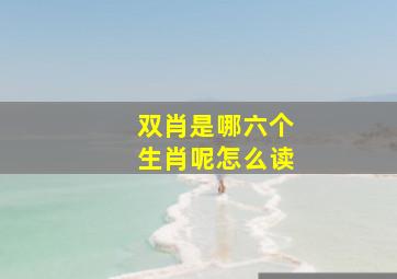 双肖是哪六个生肖呢怎么读