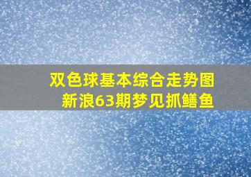 双色球基本综合走势图新浪63期梦见抓鳝鱼