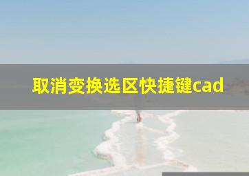 取消变换选区快捷键cad