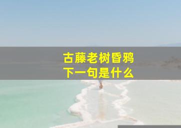 古藤老树昏鸦下一句是什么