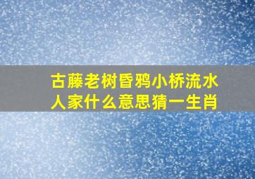 古藤老树昏鸦小桥流水人家什么意思猜一生肖