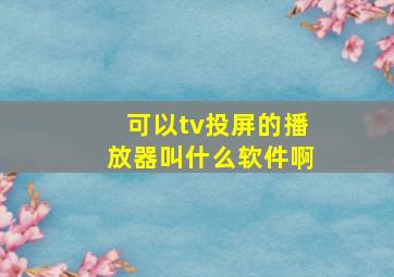 可以tv投屏的播放器叫什么软件啊