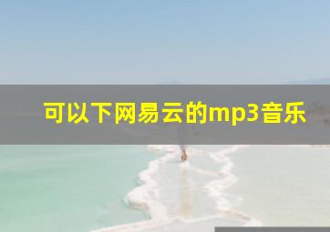 可以下网易云的mp3音乐