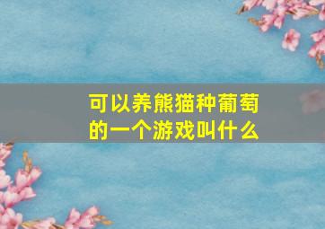 可以养熊猫种葡萄的一个游戏叫什么