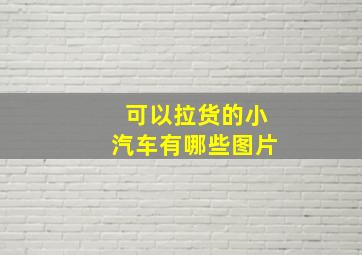 可以拉货的小汽车有哪些图片