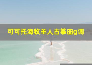 可可托海牧羊人古筝曲g调