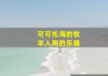 可可托海的牧羊人用的乐器