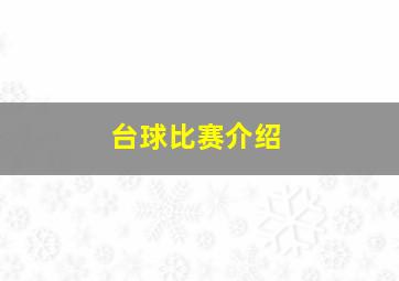 台球比赛介绍