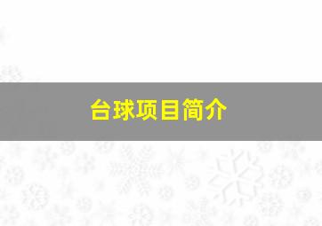 台球项目简介