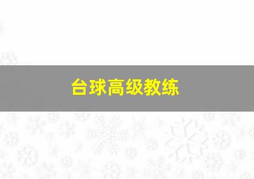 台球高级教练