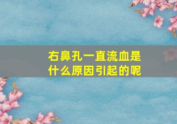 右鼻孔一直流血是什么原因引起的呢