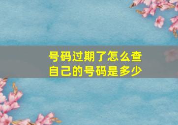 号码过期了怎么查自己的号码是多少