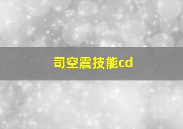 司空震技能cd