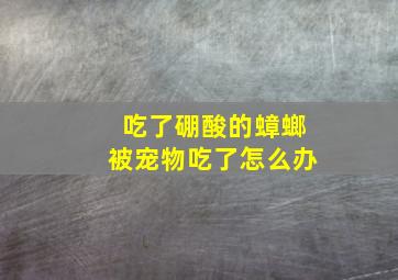 吃了硼酸的蟑螂被宠物吃了怎么办