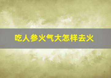 吃人参火气大怎样去火