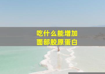 吃什么能增加面部胶原蛋白