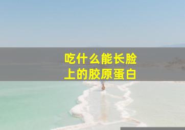 吃什么能长脸上的胶原蛋白