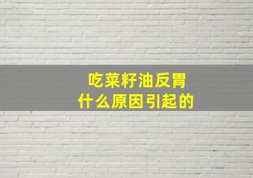 吃菜籽油反胃什么原因引起的