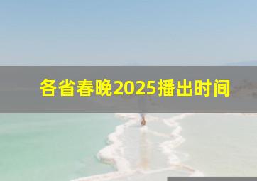 各省春晚2025播出时间