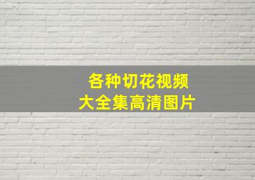 各种切花视频大全集高清图片