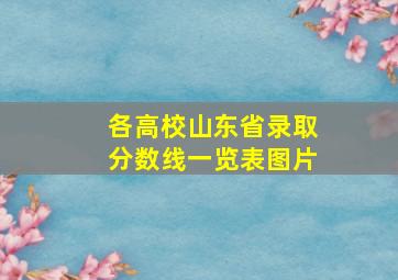 各高校山东省录取分数线一览表图片