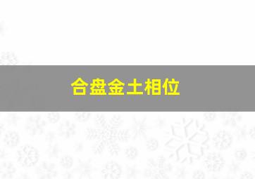 合盘金土相位