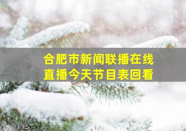 合肥市新闻联播在线直播今天节目表回看