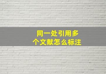 同一处引用多个文献怎么标注