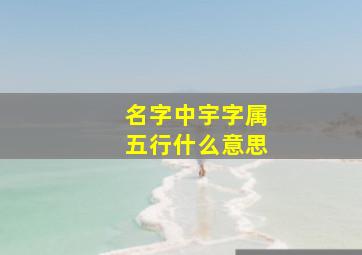 名字中宇字属五行什么意思