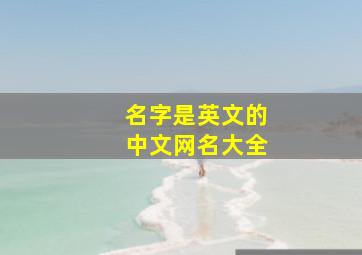 名字是英文的中文网名大全