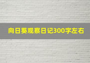 向日葵观察日记300字左右