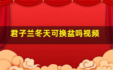 君子兰冬天可换盆吗视频