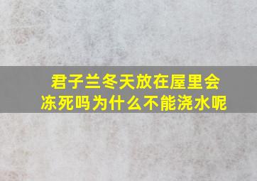 君子兰冬天放在屋里会冻死吗为什么不能浇水呢