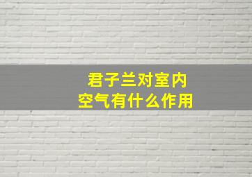 君子兰对室内空气有什么作用