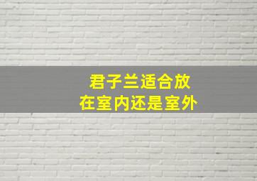 君子兰适合放在室内还是室外