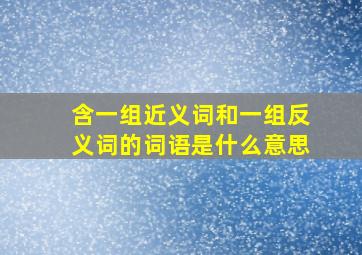 含一组近义词和一组反义词的词语是什么意思