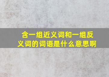 含一组近义词和一组反义词的词语是什么意思啊