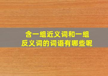 含一组近义词和一组反义词的词语有哪些呢