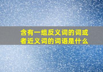 含有一组反义词的词或者近义词的词语是什么