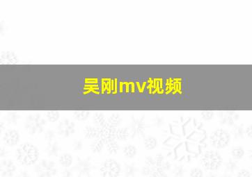 吴刚mv视频