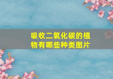 吸收二氧化碳的植物有哪些种类图片