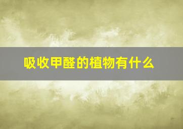 吸收甲醛的植物有什么