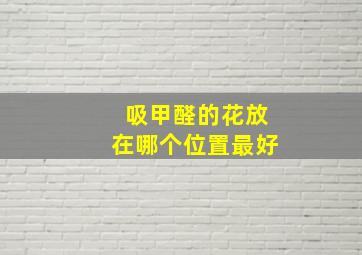 吸甲醛的花放在哪个位置最好